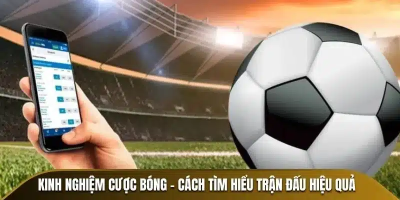 Kinh nghiệm cược bóng - Cách tìm hiểu trận đấu hiệu quả